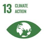 SDG13的icon