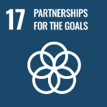 SDG17的icon